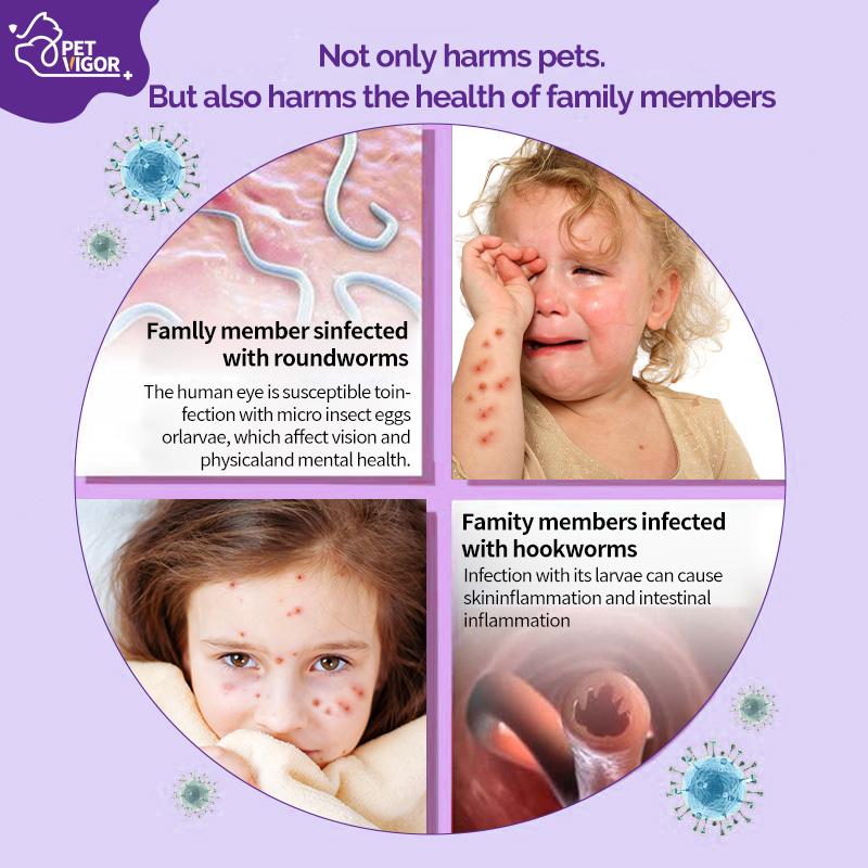 【Pet Vigor】 Albendazole Dewormer Tablets Chewables Deworming for Dogs & Cats USA Imported Formula Targets Tapeworms Roundworms Hookworms Parasite Treatment Anti Flea and Tick Treatment Repellent Anti-Flea Anti-Itching