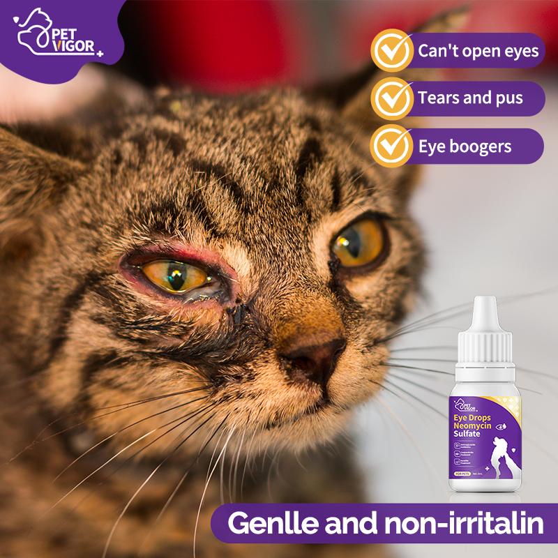 Pet Vigor Neomycin Sulfate Eye Drops for Cats and Dogs - 8 mL