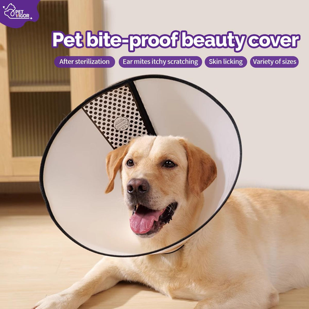 Pet Vigor Soft Adjustable Recovery Collar for Cats and Dogs