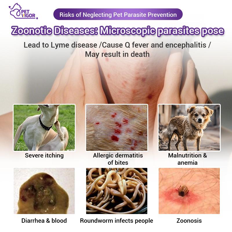 【Pet Vigor】Anti Flea and Tick For Dogs & Cats  Anti Flea and Tick Treatment Repellent Anti-Flea Anti-Itching Pets Fipronil & Natural Herbs Safe Deworming for All Breeds Dogs & Cats