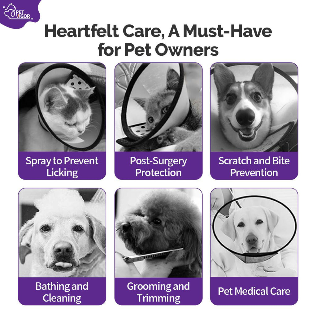 Pet Vigor Soft Adjustable Recovery Collar for Cats and Dogs