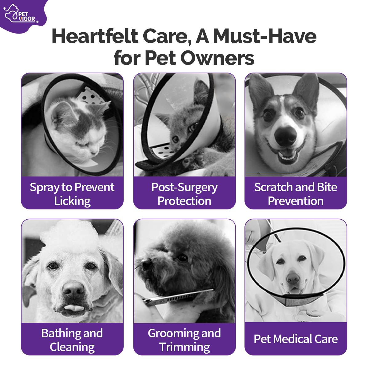 Pet Vigor Soft Adjustable Recovery Collar for Cats and Dogs