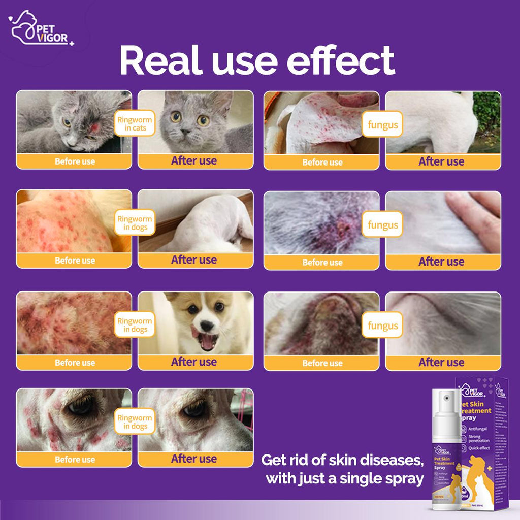 Pet Vigor Skin spray Anti-itch Spray pets spray for dogskin treatment For Cat and dog dandruff, itching, large area ring-worm, skin problemsetc