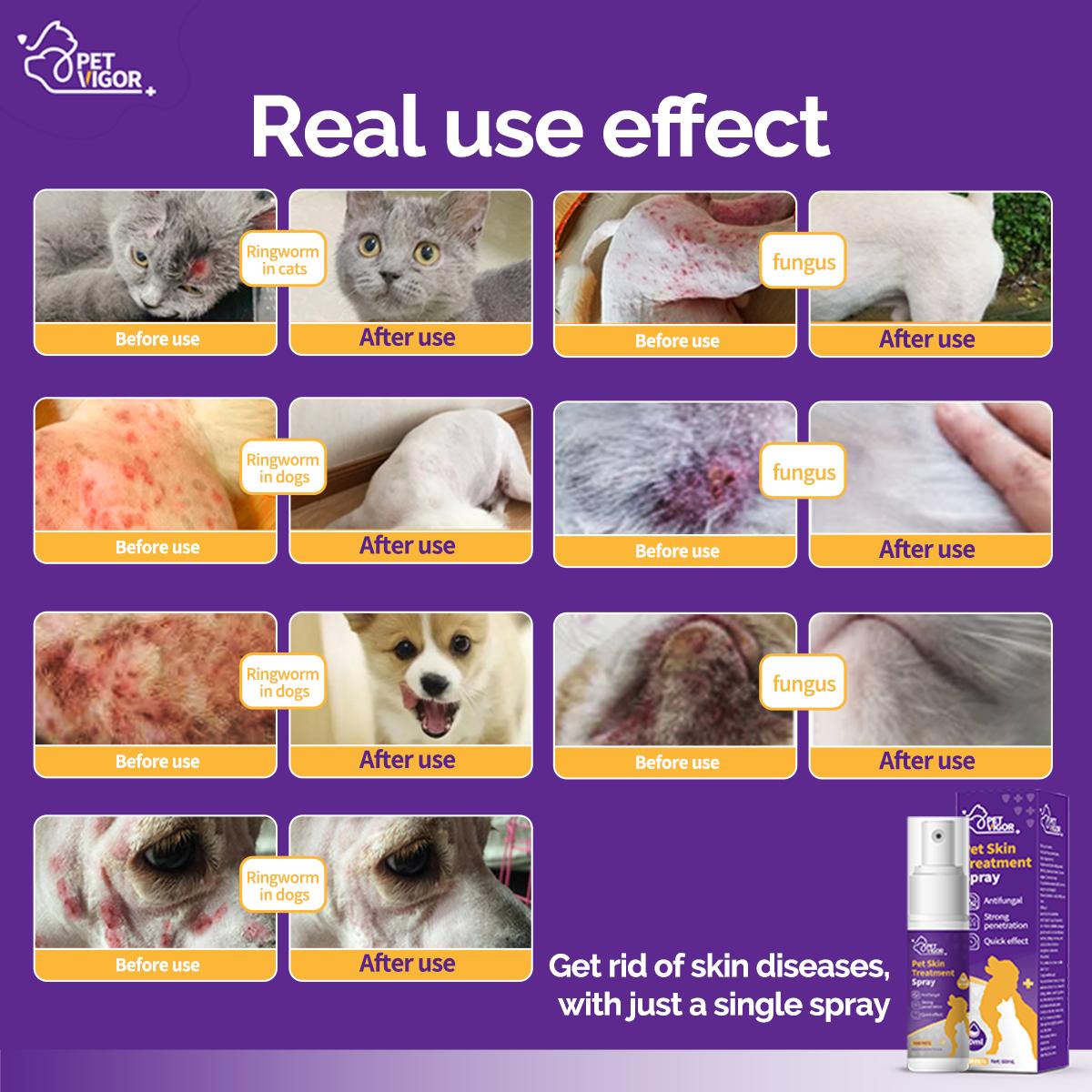 Pet Vigor Skin spray Anti-itch Spray pets spray for dogskin treatment For Cat and dog dandruff, itching, large area ring-worm, skin problemsetc