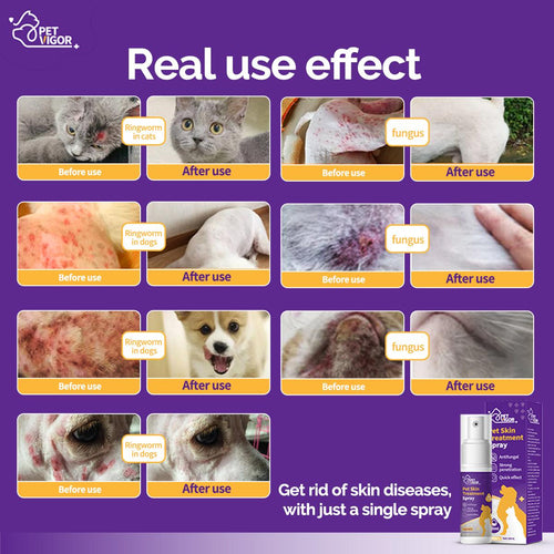Pet Vigor Skin spray Anti-itch Spray pets spray for dogskin treatment For Cat and dog dandruff, itching, large area ring-worm, skin problemsetc