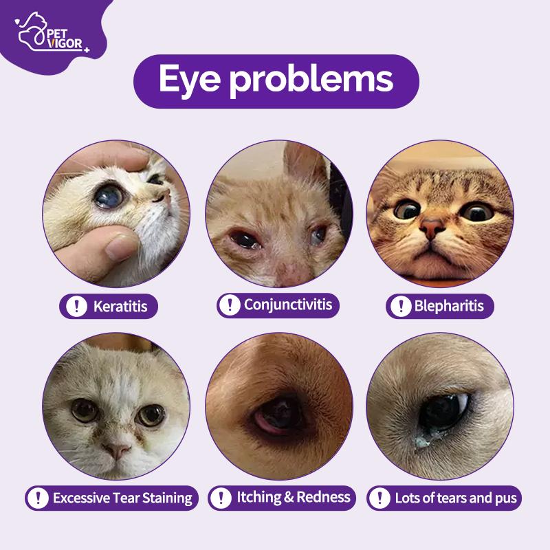 Pet Vigor Neomycin Sulfate Eye Drops for Cats and Dogs - 8 mL
