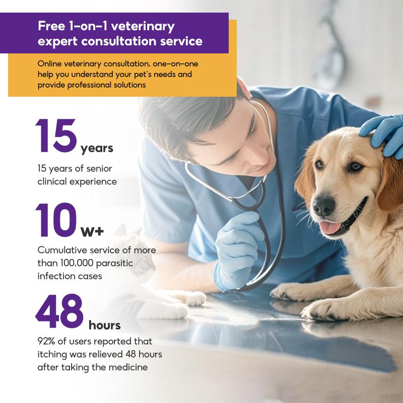 Pet Vigor Skin spray Anti-itch Spray pets spray for dogskin treatment For Cat and dog dandruff, itching, large area ring-worm, skin problemsetc