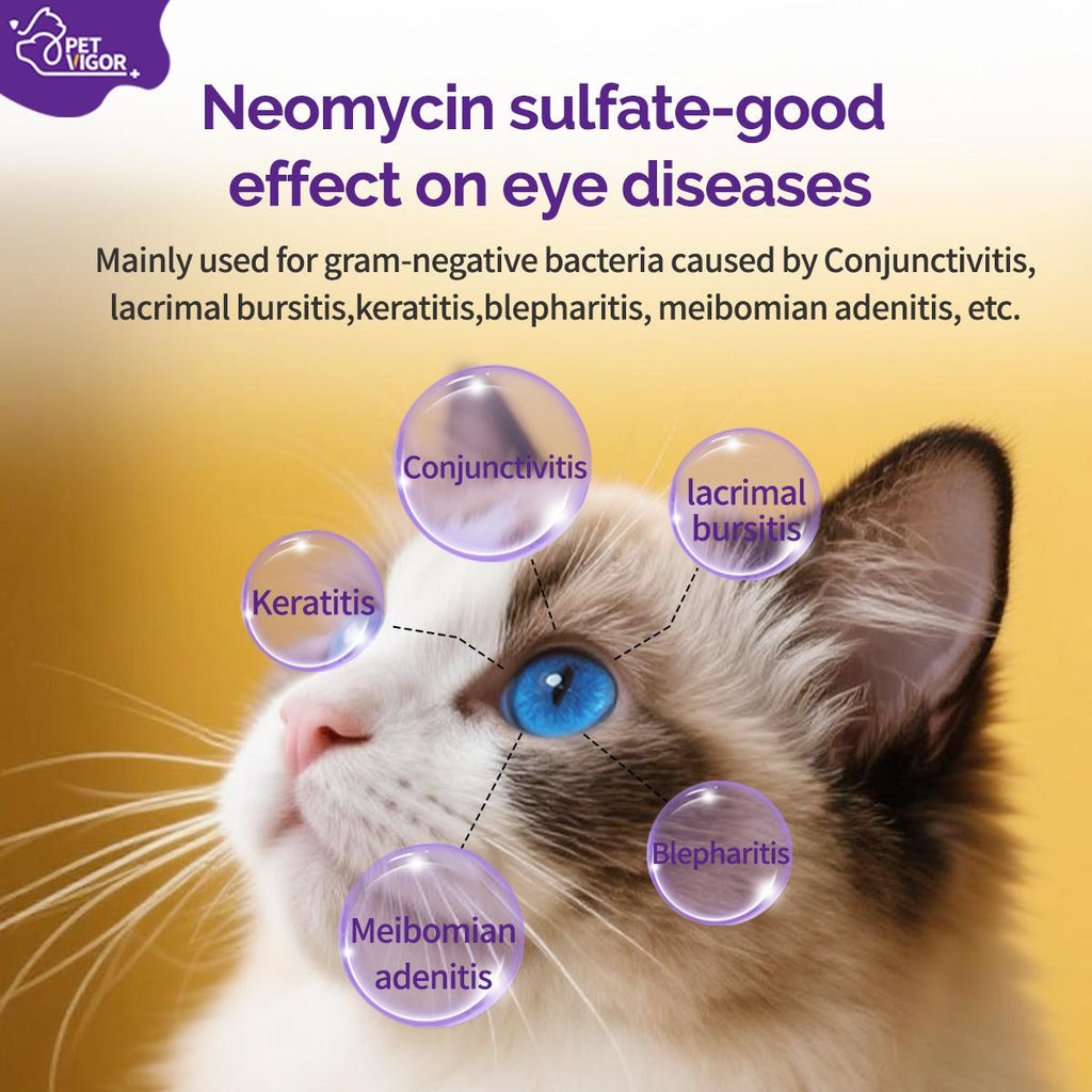 Pet Vigor Neomycin Sulfate Eye Drops for Cats and Dogs - 8 mL