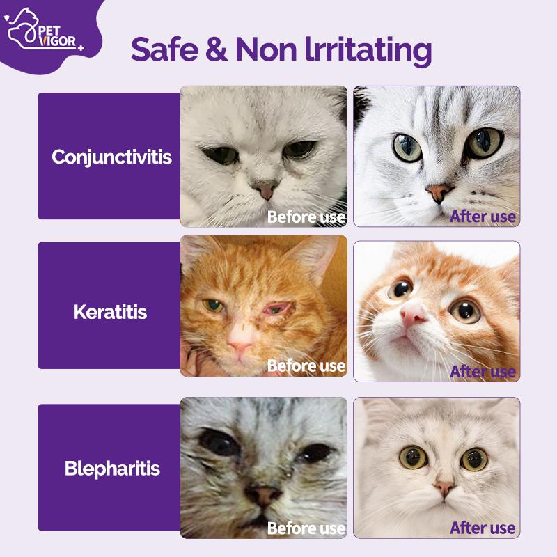 Pet Vigor Neomycin Sulfate Eye Drops for Cats and Dogs - 8 mL