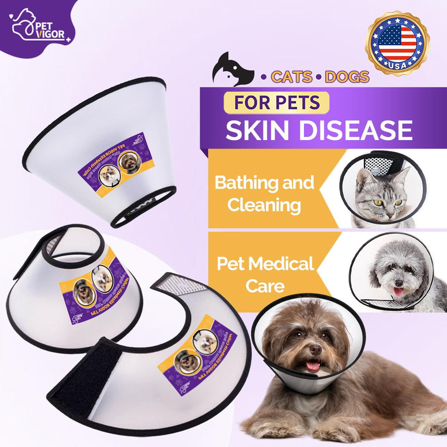 Pet Vigor Soft Adjustable Recovery Collar for Cats and Dogs