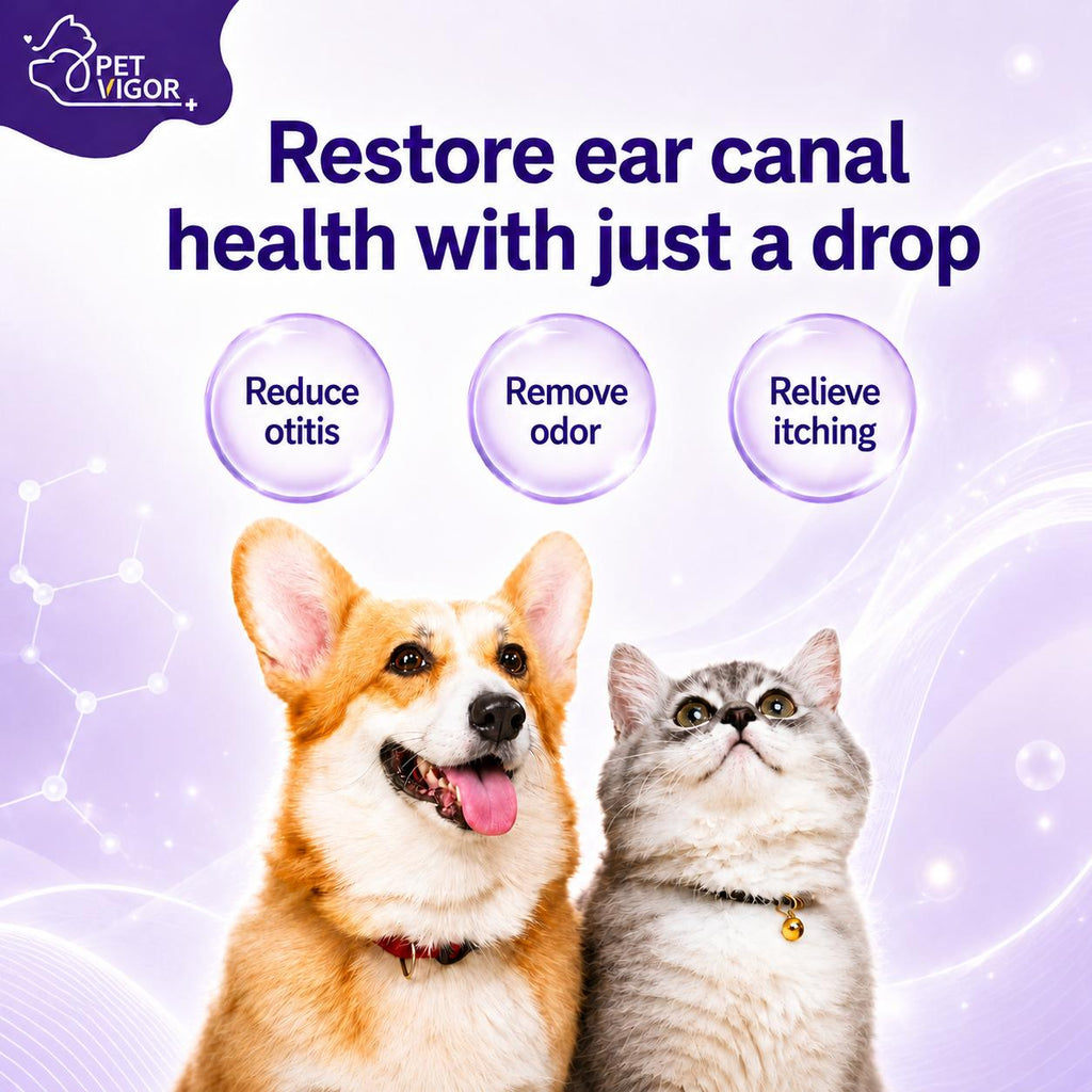 【Pet Vigor】20ml Pet Ear drops for otitis Fast-actingitch & Odor ReliefDual Antibacterial FormulaMild & Non-irritating Gentle Ear Care Solution anti-inflammatory and antibacterial properties Cats and Dogs